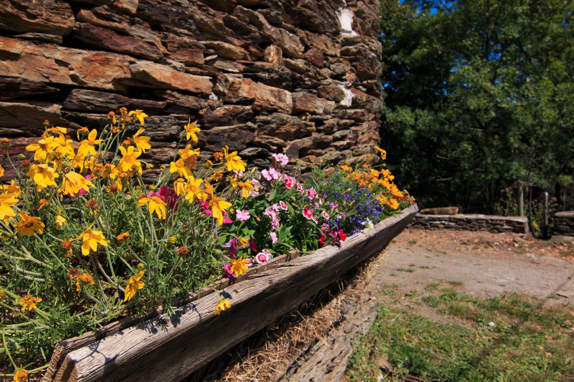Gites Des Esperelles Saint-Privat-de-Vallongue 객실 사진